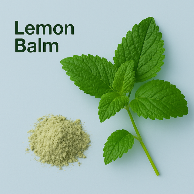 Lemon Balm